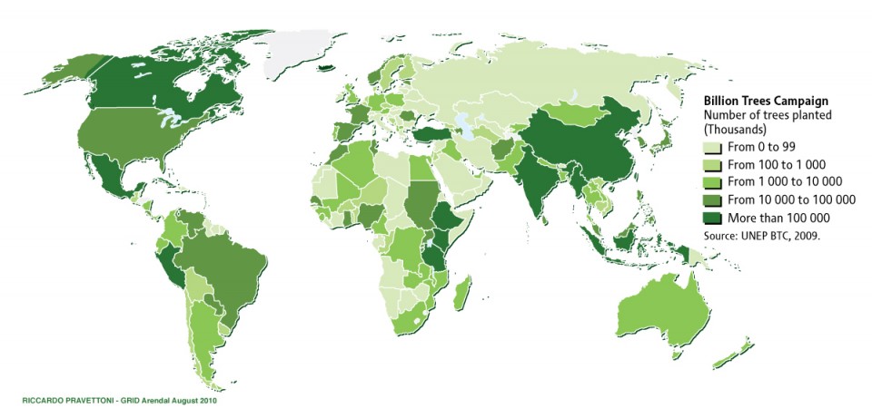 BILLION TREES UN CAMPAIGN.jpg