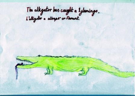 alligator