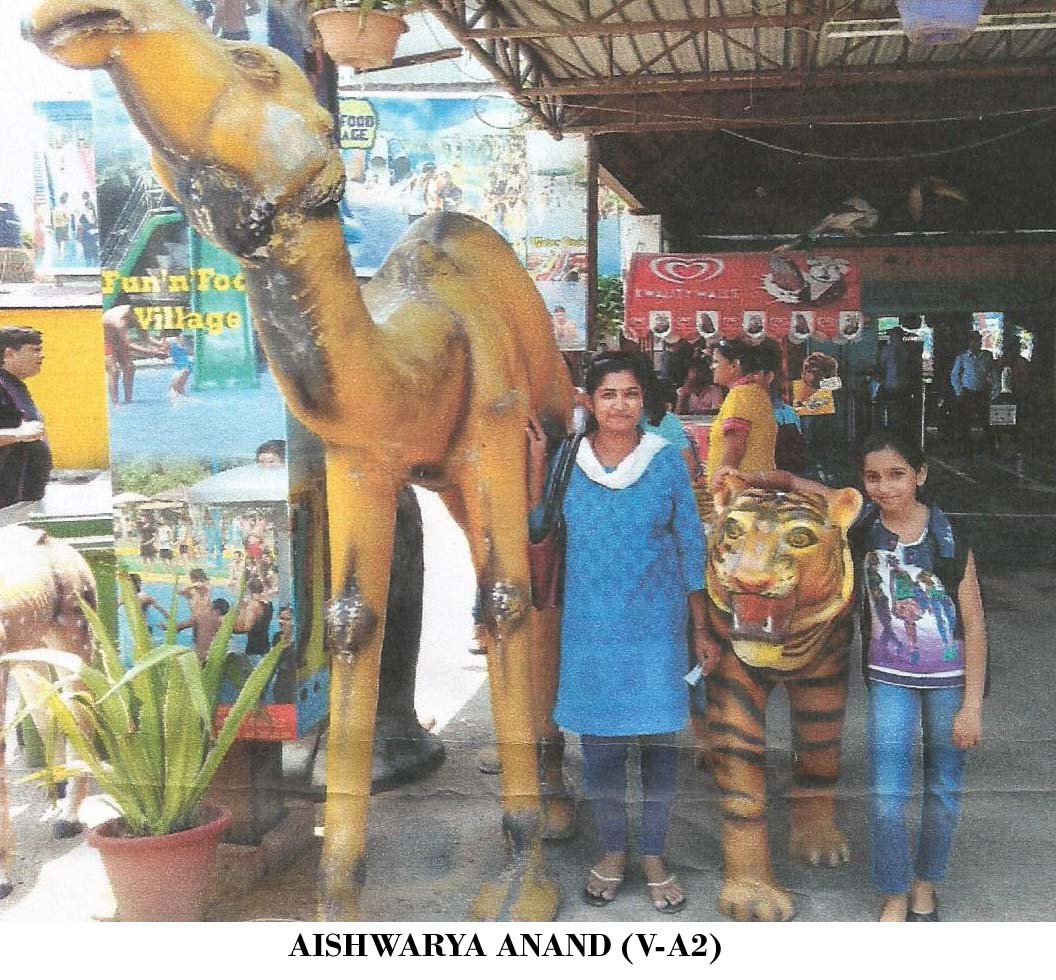 Amusement Park.jpg