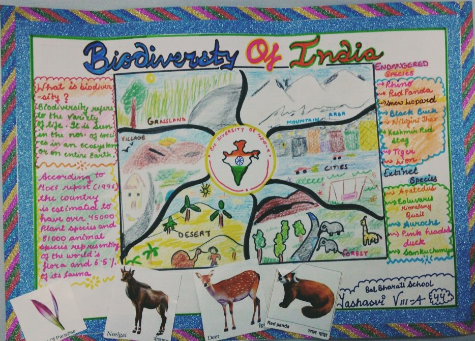 biodiversity poster.jpg