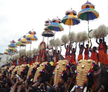 350px-ThrissurPooram-Kuda.jpg