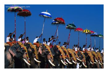 Men-Riding-Decorated-Elephants-at-Annual-Pooram-Festival-Thrissur-India-Photographic-Print-C10254986.jpg