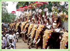 thrissur-festival-kerala.jpg