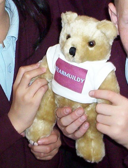 teddy 005.jpg