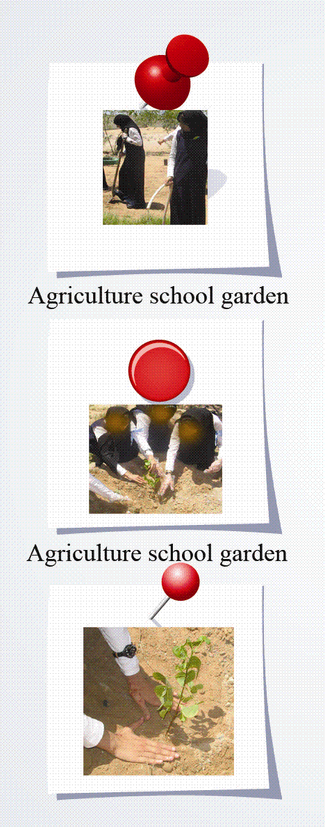 Agriculture school garden