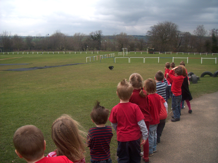 Reception Class meets Stella the border collie dog