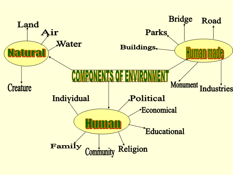 Components of Environment.png