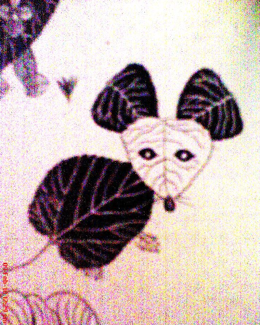 See the creative use of leaves
